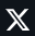 X (Twitter)